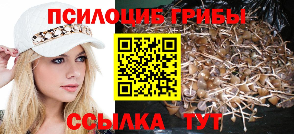 Галлюциногенные грибы Psilocybine cubensis  Псилоцибиновые грибы прущие грибы  Вход с VPN  Строитель 
